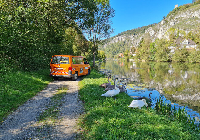 Messbuss am Flussufer mit Schwänen